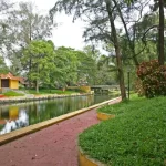 A canal in Alleppey