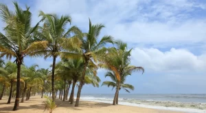 A calm and serene beach in Marari
