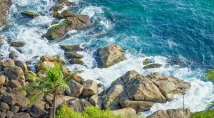 kovalam-beach-rocks.webp